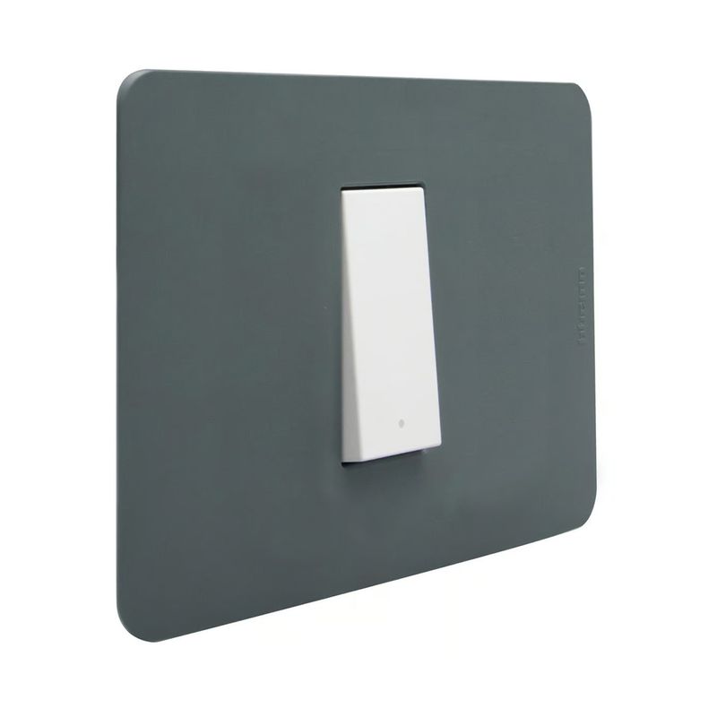 Placa-Armada-Interruptor-9-12-Simple-Agave-Verde-250257_2