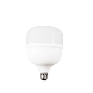 Ampolleta Led Hight Power E27 20 W Luz Fría