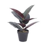 Planta-Gomero-Artificial-8-Hojas-36-CM-238072-1