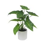 Planta-Taro-Artificial-9-Hojas-40-CM-238073-1