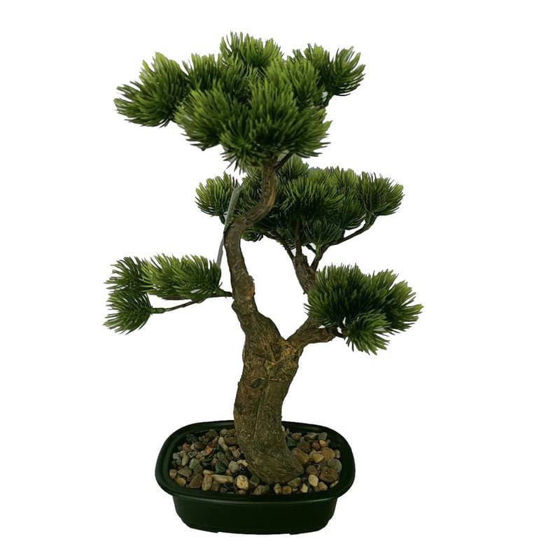 Bonsai-Pino-Maceta-Ovalada-6-CM-238079-1