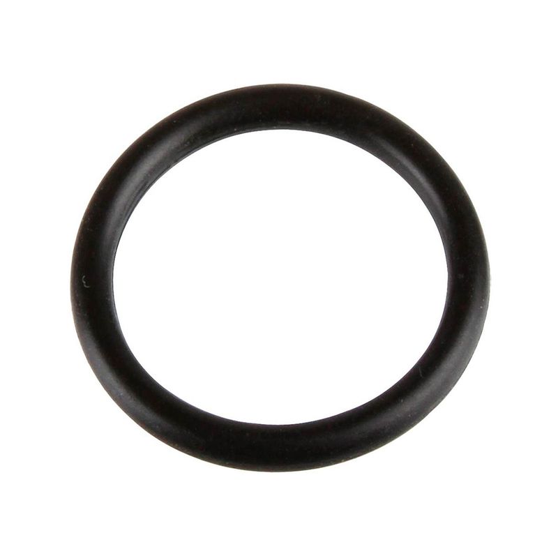 ORing-Parker-2-113-2-un-249351_1