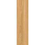 Gres-Porcelanico-Acadia-Walnut-20-x-120CM-1-2-M2-242250_5.jpg
