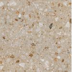 Gres-Porcelanico-60-x-60-cm-144-M2-Terrazo-Beige-Pulido-246489_3.jpg