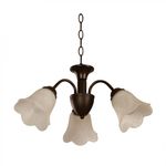 Lampara-de-Techo-Chocolate-Ikelite-3-Luces-E27-60-w-213610_1