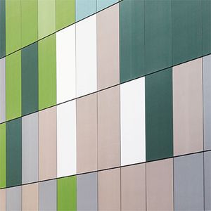 Fragüe Fluido Helecho 1 kg Verde