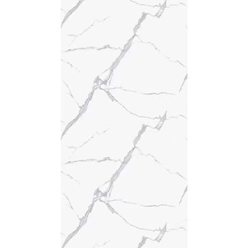 Wall-Panel-3-Mm-2-44-x-1-2-M-White-Vein-250900_1.jpg