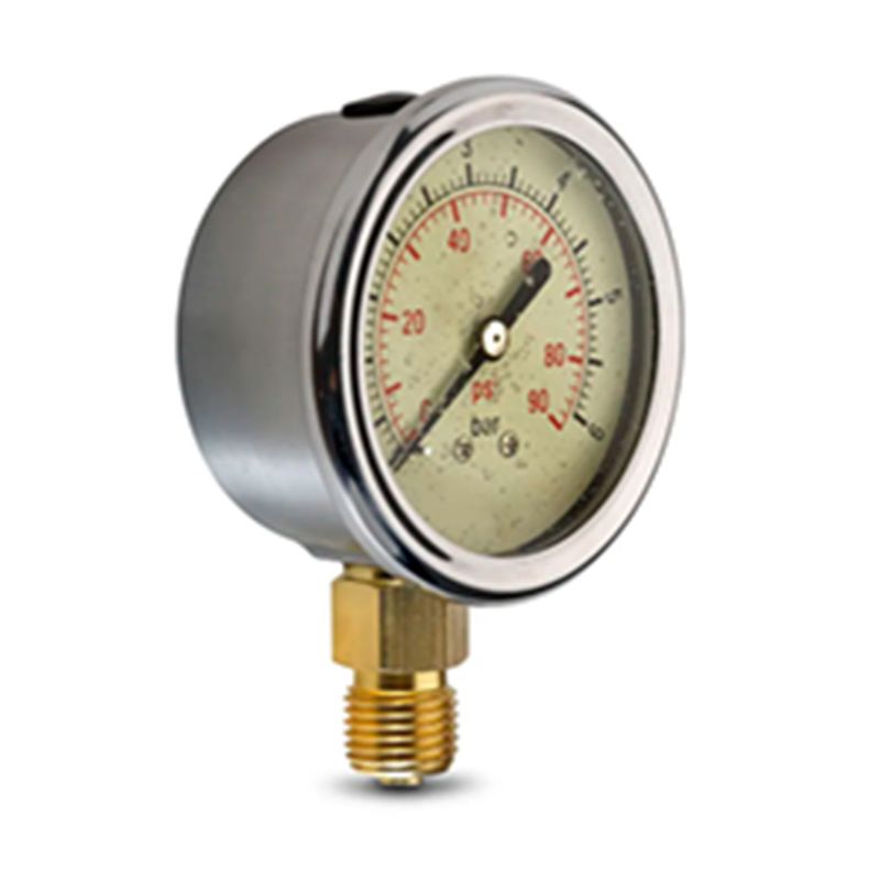 Manometro-De-Glicerina-0-6-bar-65-mm-247069_3.jpg