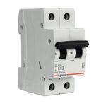 Interruptor-Automatico-Termomagnetico-2-Polos-6-kA-63A-250239_1