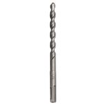 Broca-Sds-Plus-Hm-10-X-100-X-160-Mm-Bosch-234391_1