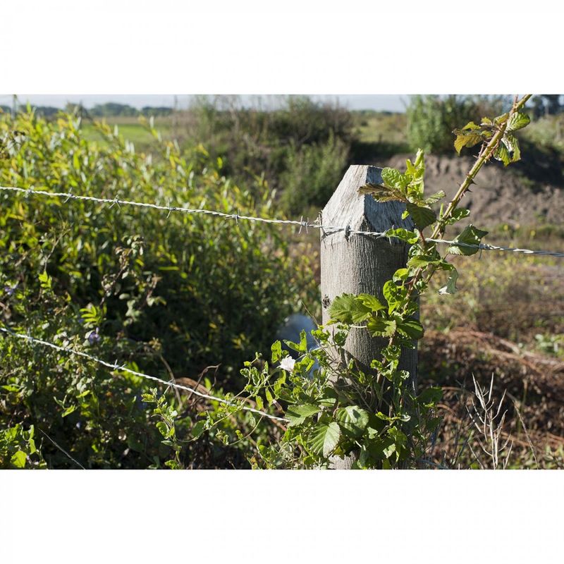Alambre-de-puas-14-2-11-mm-7-1-kg-27715_3
