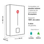 Calefont-Rheem-10-lt-Ionizado-Tiro-Natural-Gas-Licuado-208847_4