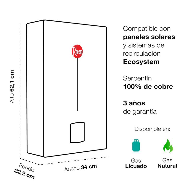 Calefont-Rheem-10-lt-Ionizado-Tiro-Natural-Gas-Licuado-208847_4