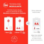 Calefont-Rheem-10-lt-Ionizado-Tiro-Natural-Gas-Licuado-208847_5