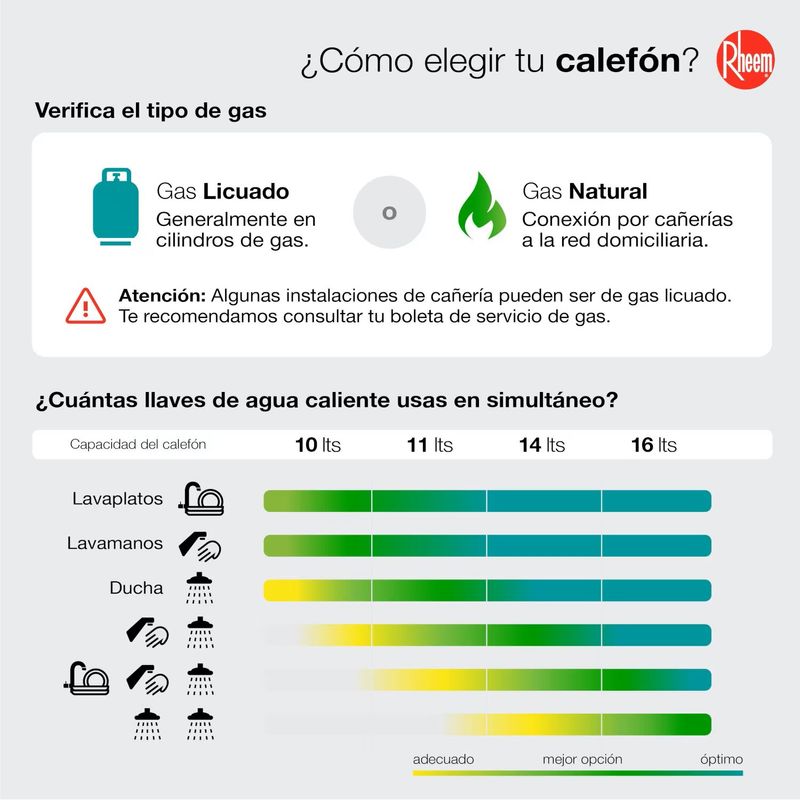 Calefont-Rheem-10-lt-Ionizado-Tiro-Natural-Gas-Licuado-208847_6
