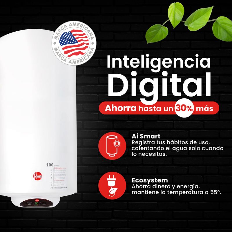 Termo-Electrico-Digital-Mural-30L-Rheem-227010_4