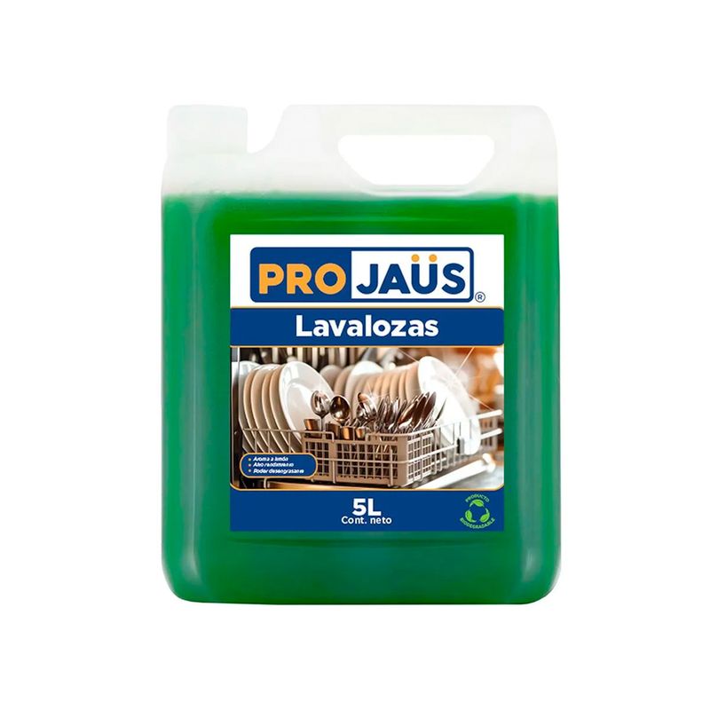 Combo-Lavalozas-5L-Pano-Multiuso-Absorbente-50-Un-PK236_2